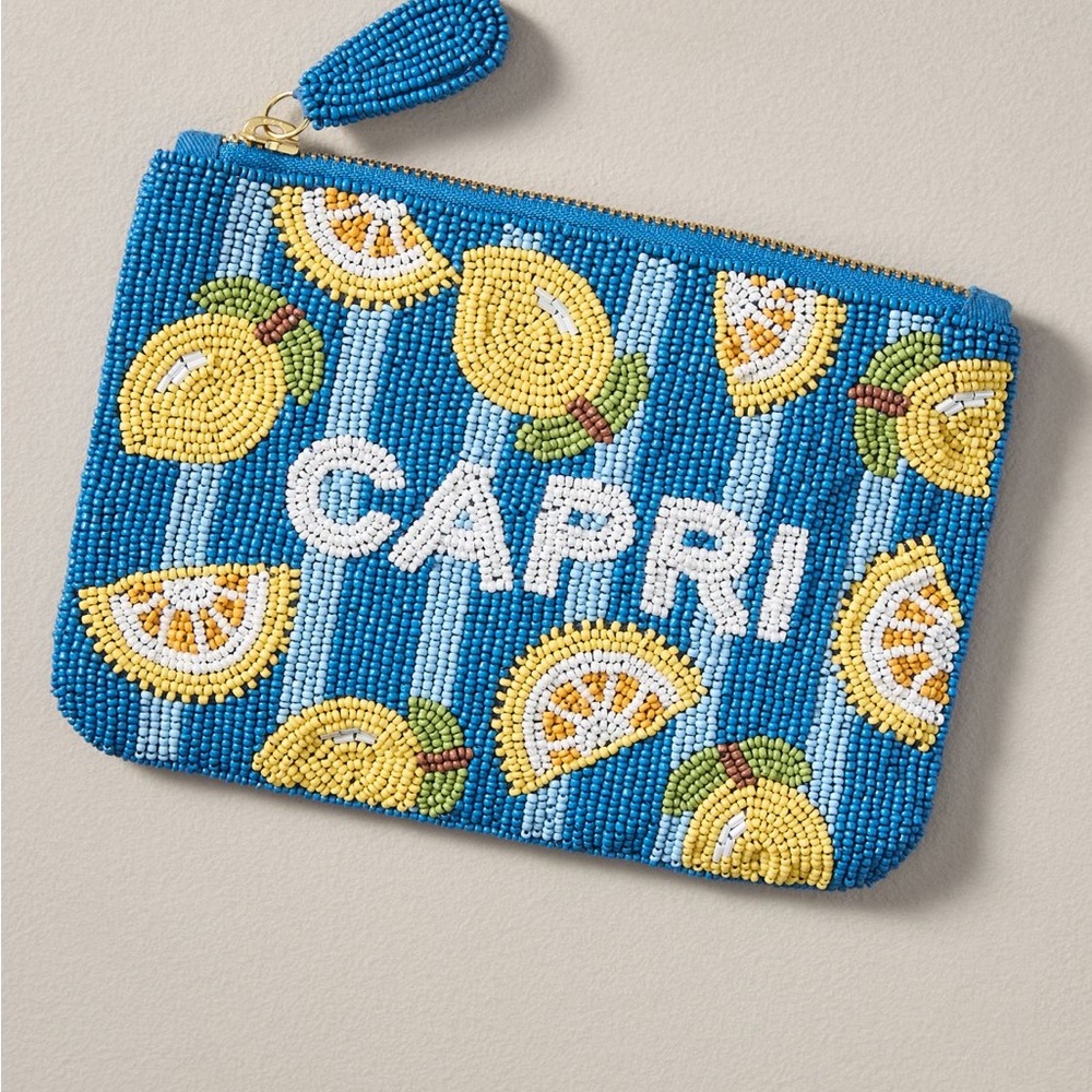 The Fiona City Graphic Medium Beaded Pouch. By Anthropologie 
CAPRI